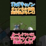 マイクラでTNTキャノンを作った結果､､､！？ #マイクラ #minecraft #ゆっくり実況