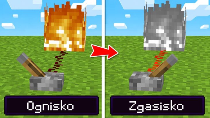 Testuje TIKTOKI od WIDZÓW w MINECRAFT 1.21…