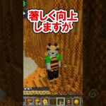 ビースープについて解説【The BumbleZone】【マイクラMOD】