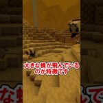 ポリネイテッド・フィールドについて解説【The Bumblebee】【マイクラMOD】
