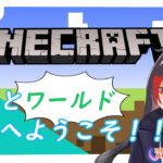 マイクラ実況　整地＆家建築　【新人VTuber】　MINECRAFT