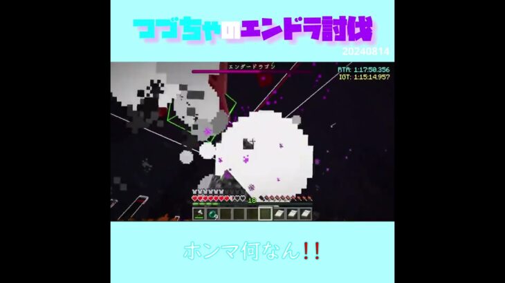 【マイクラ】ホンマ何なん！！　 fromつづちゃのエンドラ討伐！2024/08/14　#Minecraft　#Shorts