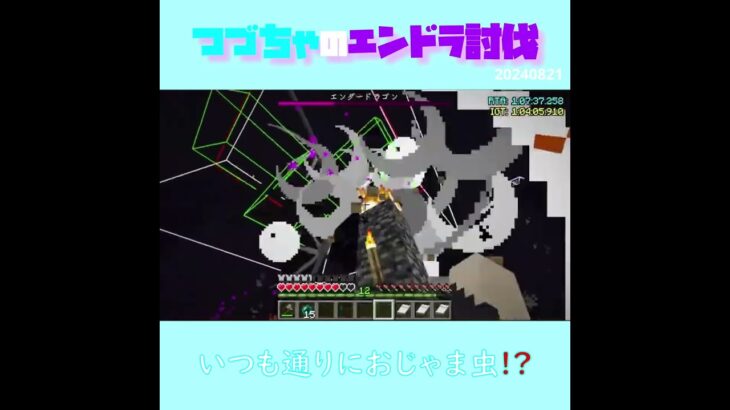 【マイクラ】いつも通りにおじゃま虫！？　 fromつづちゃのエンドラ討伐！2024/08/21　#Minecraft　#Shorts