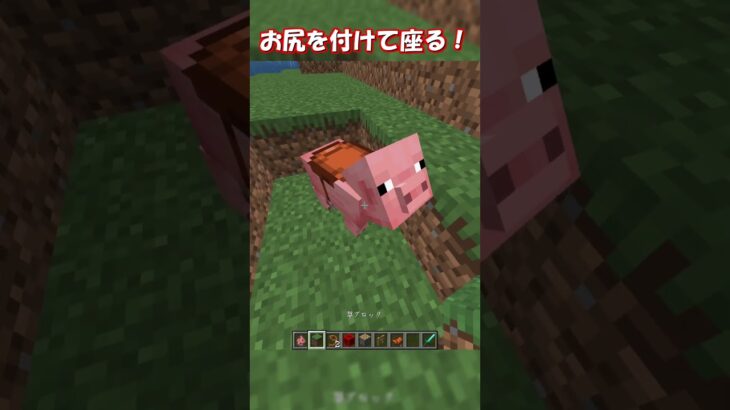 【マイクラ 統合版・java版】mod,コマンドなしで地面にお尻をつけて座れる方法！椅子の作り方！【マインクラフト裏技・小技】1.21＋対応！　#shorts