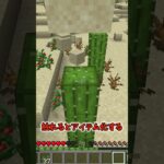 【マイクラ】ネタがないのでサボテンでお茶を濁す #minecraft #マイクラ #マインクラフト