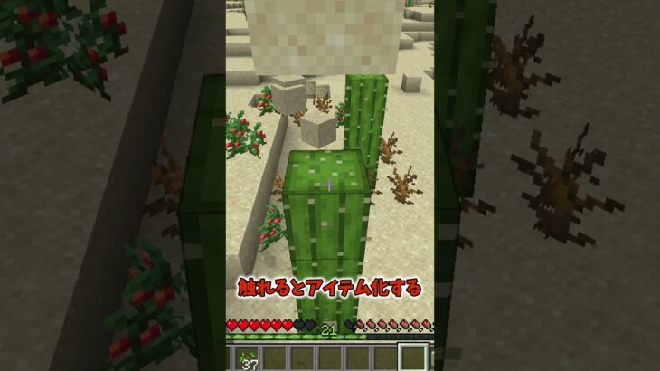 【マイクラ】ネタがないのでサボテンでお茶を濁す #minecraft #マイクラ #マインクラフト