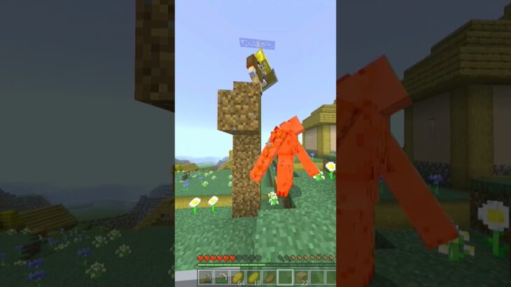 見てはいけない現場をみてしまった… #minecraft #マイクラ