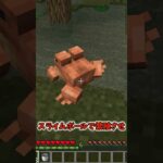 【マイクラ】未プレイ以外で知らない人いる？カエルの話だよ #minecraft #マイクラ #マインクラフト