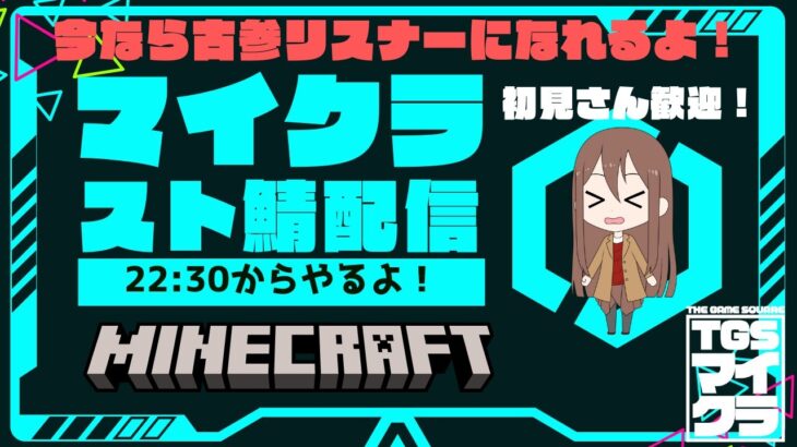 スト鯖の凄い建築を見に行く！！！【マイクラ】#マイクラ　#minecraft