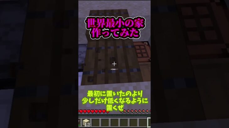 世界最小の家作ってみた！ #マイクラ #マインクラフト #minecraft