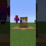 【マイクラ】シンプルに飾れてお洒落に見える本棚を建築してみたい#minecraft #shorts