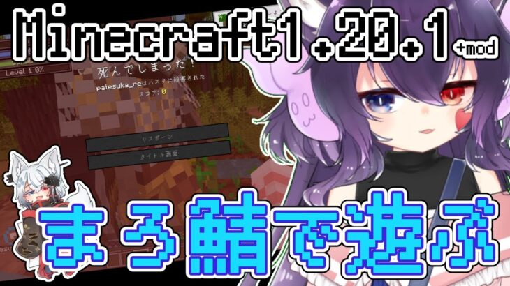 【#minecraft】まろ鯖にお邪魔します！魔法あり、ハクスラあり、異世界ありのトンデモMOD世界・・・！？⛏２【#Vtuber】