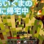 【マイクラ】魔法を使ってサバイバルしてみたら…　part2