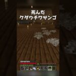 良かったインテリアランキング #shorts #マイクラ