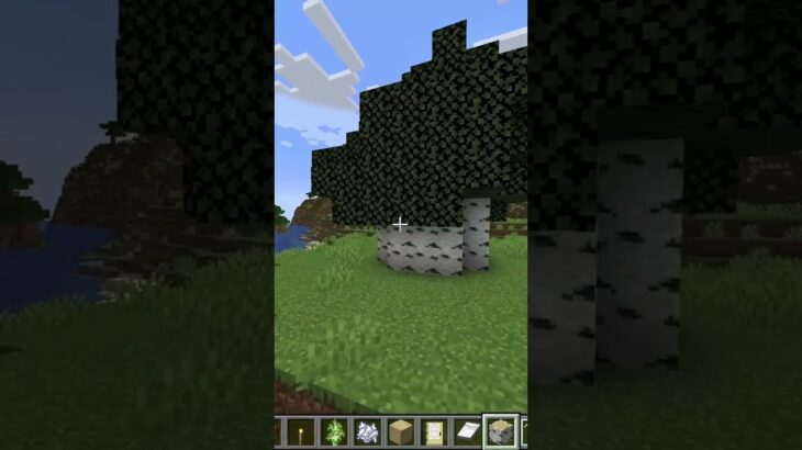 マイクラで簡単でおしゃれな家の作り方をご紹介!!【マイクラ】#shorts