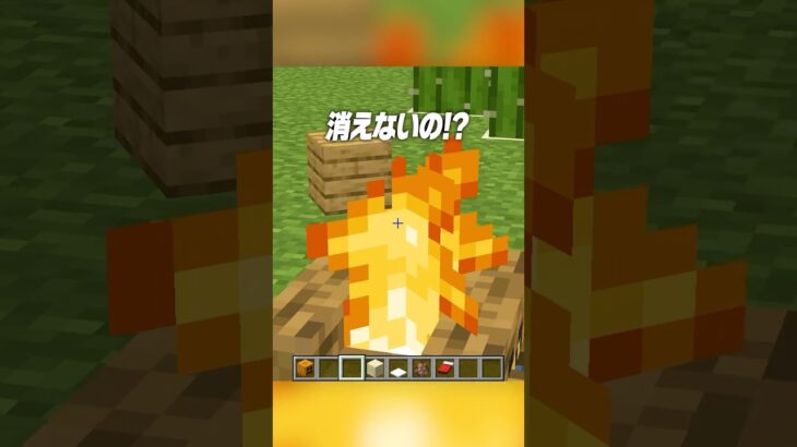 どうなってるの！？😂【まいくら・マインクラフト】#shorts #らた #minecraft #ゲーム実況 #まいくら #マイクラ