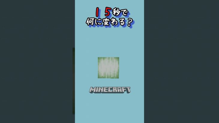 【マイクラ】何かに変わるよ！　#shorts #short