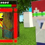 かくれてる人を全部チートで見つける！【まいくら・マインクラフト】