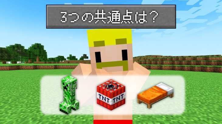 このアイテムどんなものか当てるまで終われません！【マイクラ】