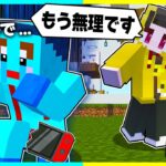 もう我慢の限界です。けなたろうとは動画を撮りません【まいくら / マインクラフト】