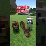 【アドオン紹介】ペットと暮らせ！無料で！【統合版マイクラ】