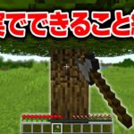 現実でできること縛りがバカゲーすぎた【マイクラ】