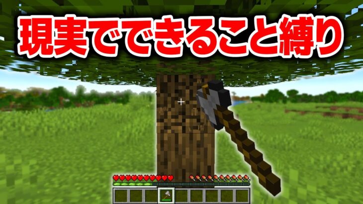 現実でできること縛りがバカゲーすぎた【マイクラ】