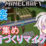 【マイクラ】建築か素材集め！！！～街づくりマイクラ～【マインクラフト実況】