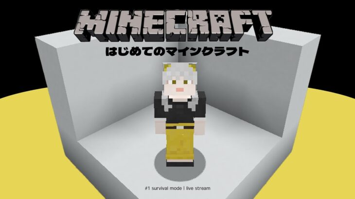 【マイクラ】はじめてのマインクラフト！リスポーン地厳選から仮拠点作りまで【サバイバル】