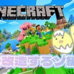 【マインクラフト】マイクラ生活～家を改造するゾ✨