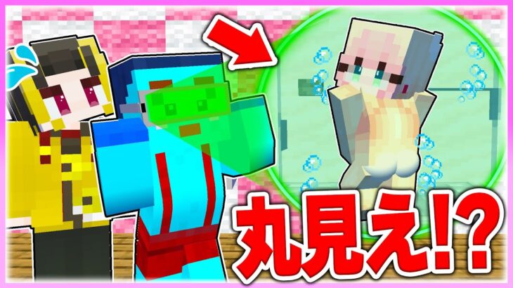 🌈なんでも透けるメガネを使って女の子の家を覗きまくるwww 【まいくら / マインクラフト】