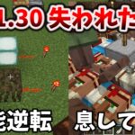 1.21.30で失われた特権4選+嬉しい修正9選 [マイクラ統合版 1.21.30/Bedrock][Windows/PE/Switch/PS/Xbox]