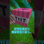 【検証】ワールドの端で10000倍TNT #マインクラフト #マイクラ