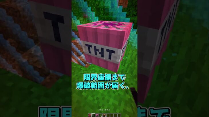【検証】ワールドの端で10000倍TNT #マインクラフト #マイクラ
