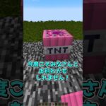 10000倍TNT vs 岩盤シェルター #minecraft #マインクラフト #マイクラ