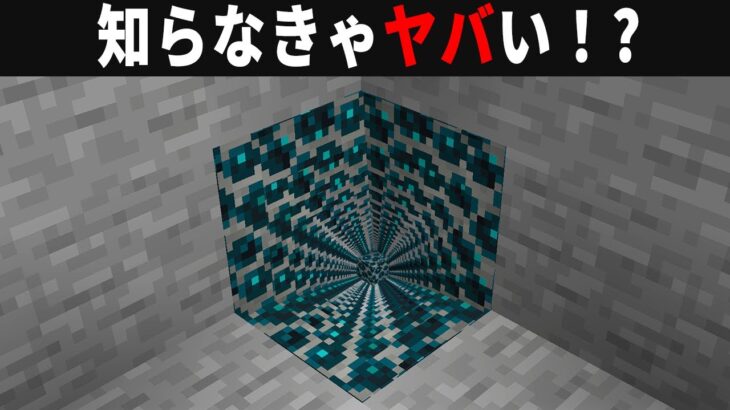 【海外検証】謎が多すぎるマインクラフト12選【ゆっくり実況】【マイクラ】