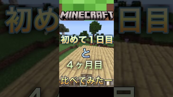 初めて1日目の建築と、　　　　　　　初めて4ヶ月の建築比べてみたー #マイクラ #minecraft #ルイ #マイクラサバイバル実況 #マインクラフト #minecraft実況 #実況 #まいくら