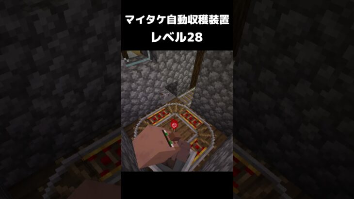 まいたけダンス マイタケ自動収穫装置 レベル28  #マイクラ #マインクラフト #minecraft #まいたけダンス #ドッキリ #shorts