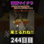 【マイクラ】3秒に一回トラップが襲ってくる世界で生き延びたい 244日目【一日一回】 #minecraft  #1分クラフト #マインクラフト