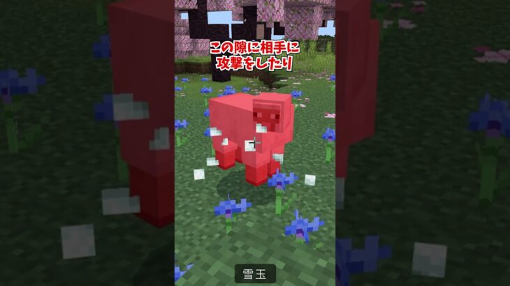 実はぶっ壊れている最強コマンド3選#マイクラ #shorts