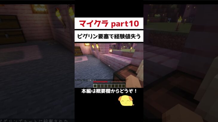 ためた経験値30でつるはしエンチャントするつもりだった【マイクラ】#shorts