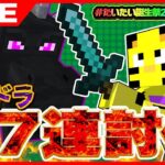 【マイクラ】第3部！エンドラリセなし27連討伐！14体目から！クチクスル…【たいたい】