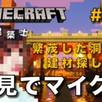 【マイクラ】一級建築士が建築しながら初見でマイクラを配信 #40【Minecraft / マインクラフト / 配信 / 実況】