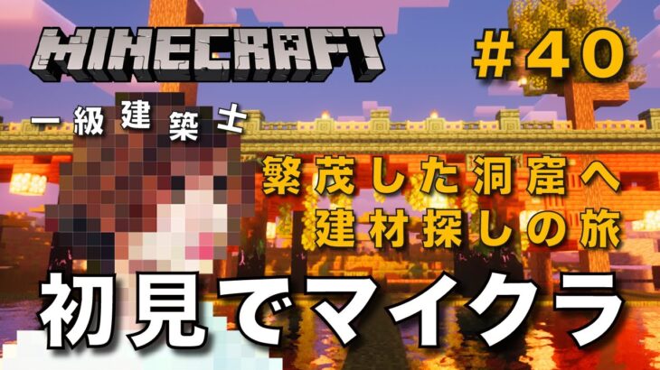 【マイクラ】一級建築士が建築しながら初見でマイクラを配信 #40【Minecraft / マインクラフト / 配信 / 実況】