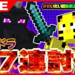 【マイクラ】誕生日迎えながら第4部！エンドラリセなし27連討伐！最後までいくぜ！！【たいたい】