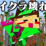 75万円のマイクラを色んな方法で壊した結果www【まいくら・マインクラフト】