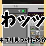 【収録8分の豪運】Part15_エンチャント本厳選📚無くしたら泣くレベルのツルハシ完成!!
