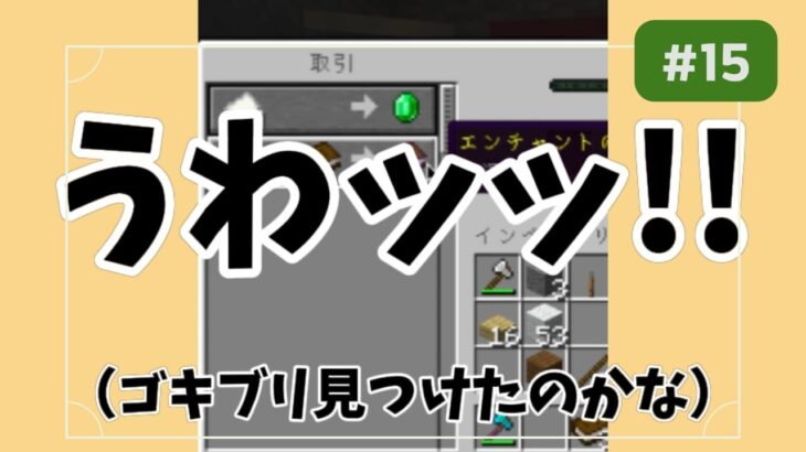 【収録8分の豪運】Part15_エンチャント本厳選📚無くしたら泣くレベルのツルハシ完成!!