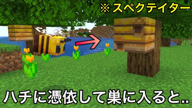 【マイクラ】クラフターが一度は騙された要素がロマンすぎる..　 〜何故かできそうでできない罠仕様9選〜　【マインクラフト】【まいくら】【統合版】【雑学】