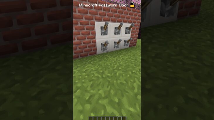 How To Make Password Door In Minecraft 🔐(はいよろこんで) || #minecraft #shorts #viralvideo